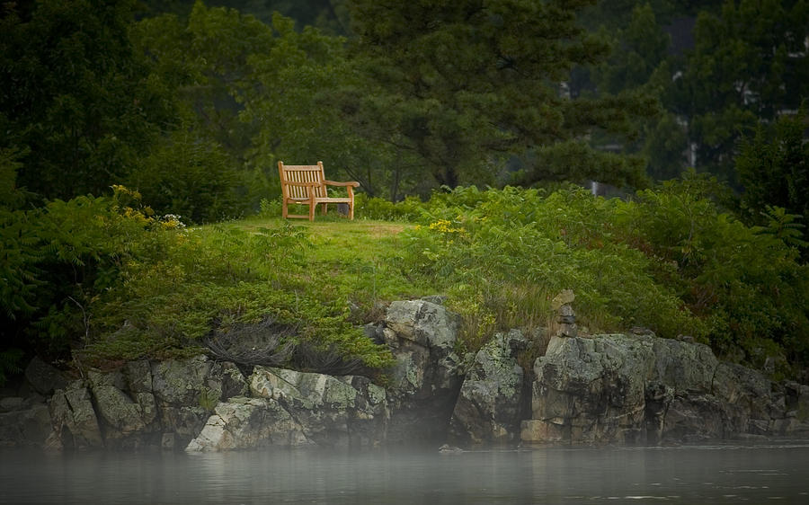 Summer Photograph - Quiet Time by Jack Foley