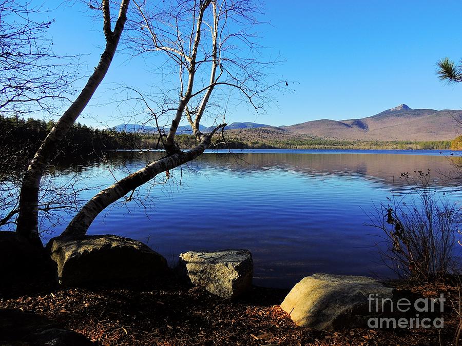 Quiet Time on Chocorua Lake Photograph by Mim White