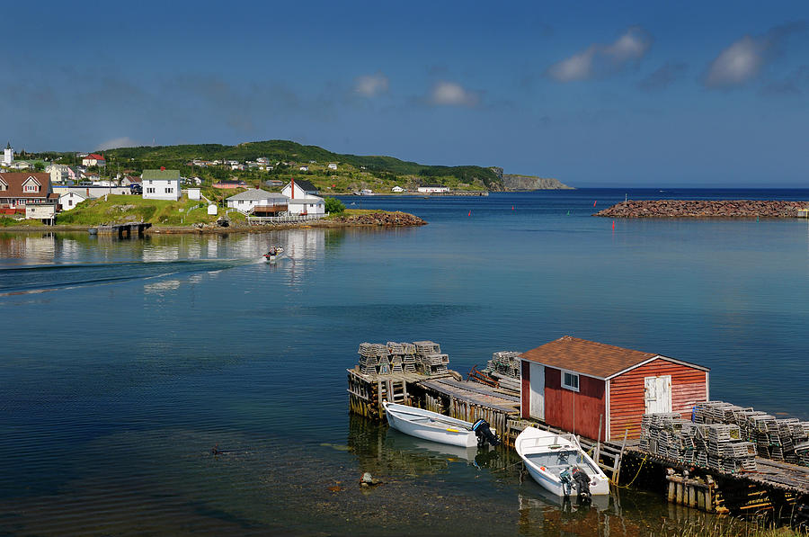 Quiet water of Twillingate Harbour Newfoundland with lobster tra ...