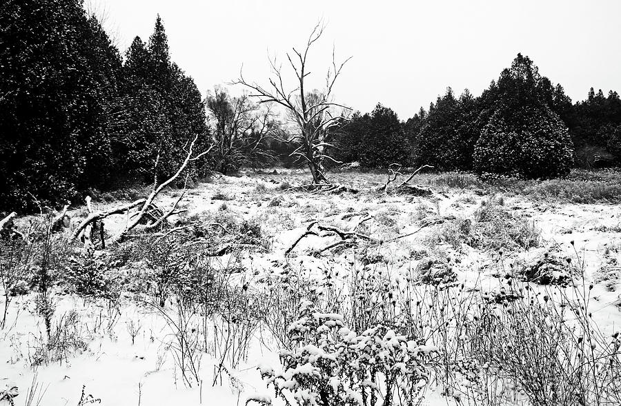 Quiet Winter Black And White Photograph by Debbie Oppermann