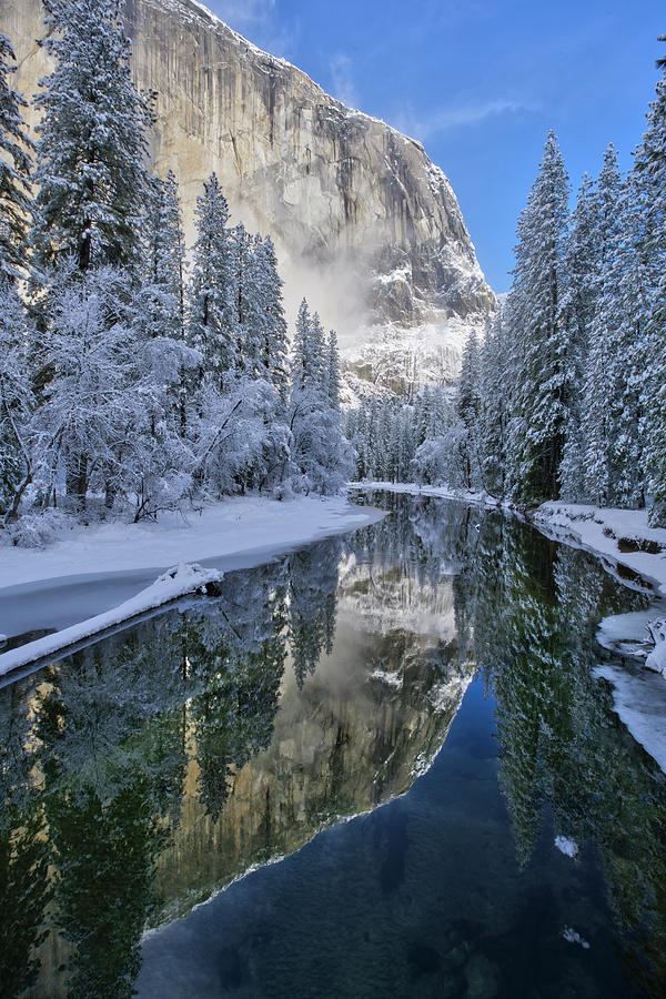 Quiet Winter Morning Photograph by Brenda Tharp - Fine Art America