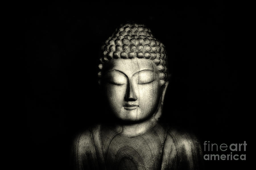 Buddha Photograph - Quietude by Tim Gainey