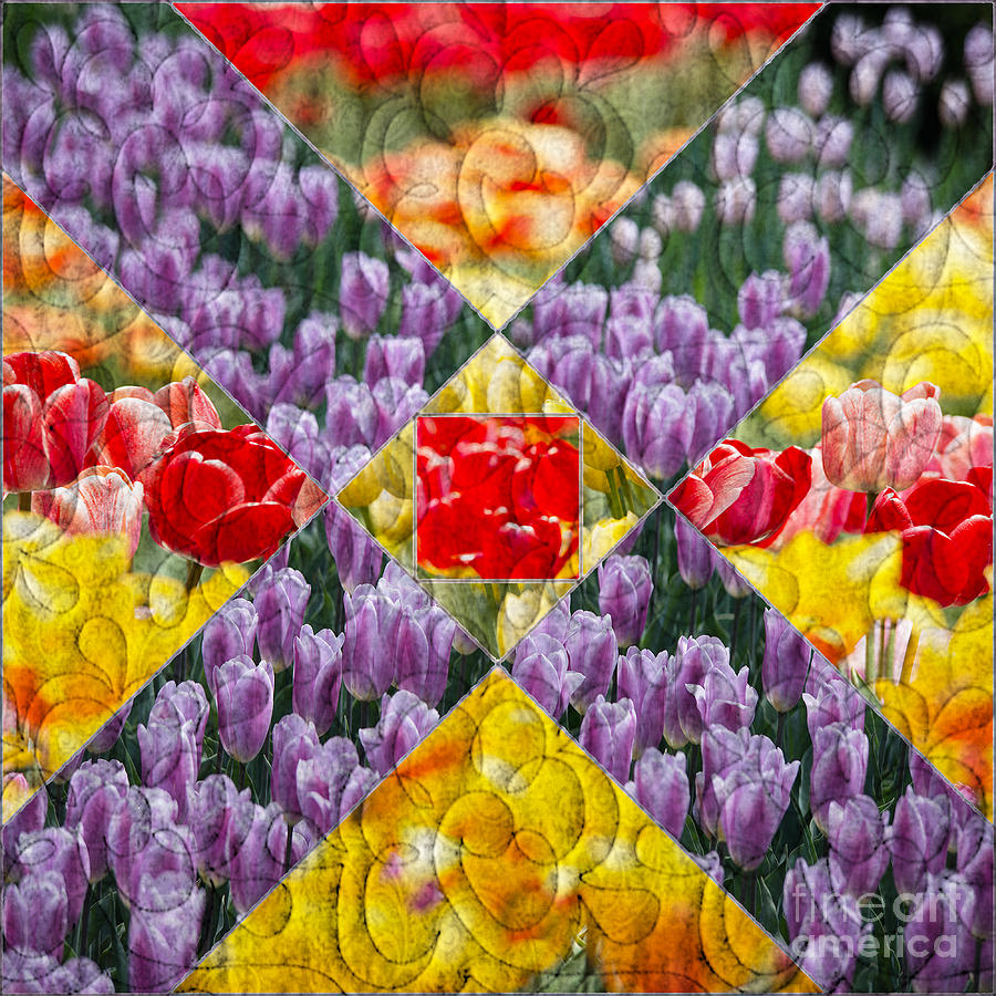 Flower Photograph - Quilt Block Flowers by Tom Gari Gallery-Three-Photography