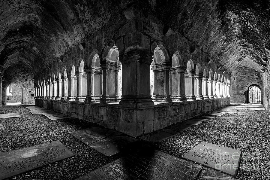 Landscape Photograph - Quin Abbey by Dennis Hedberg