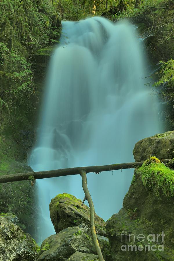 Quinault Merriman Falls Photograph by Adam Jewell