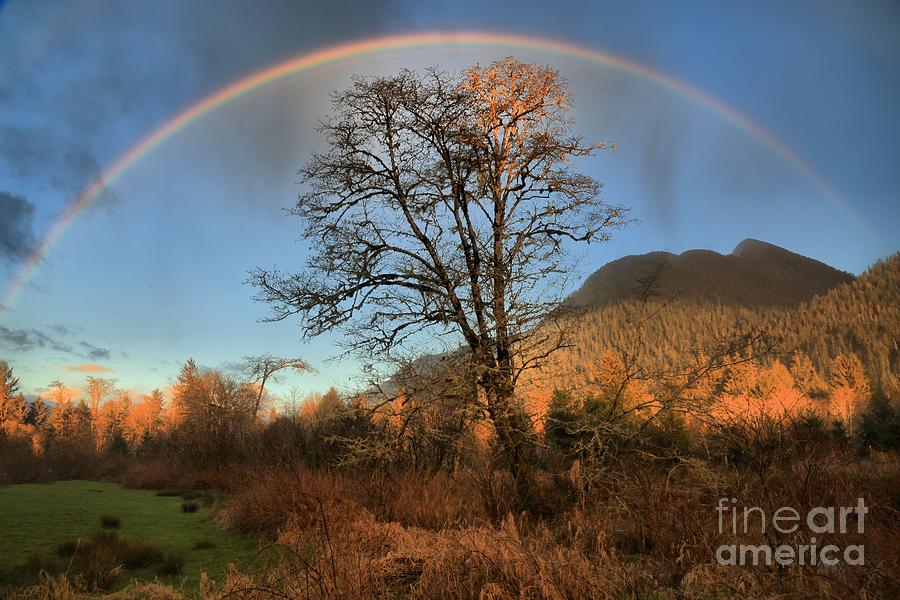 Quinault Rainbow Photograph by Adam Jewell