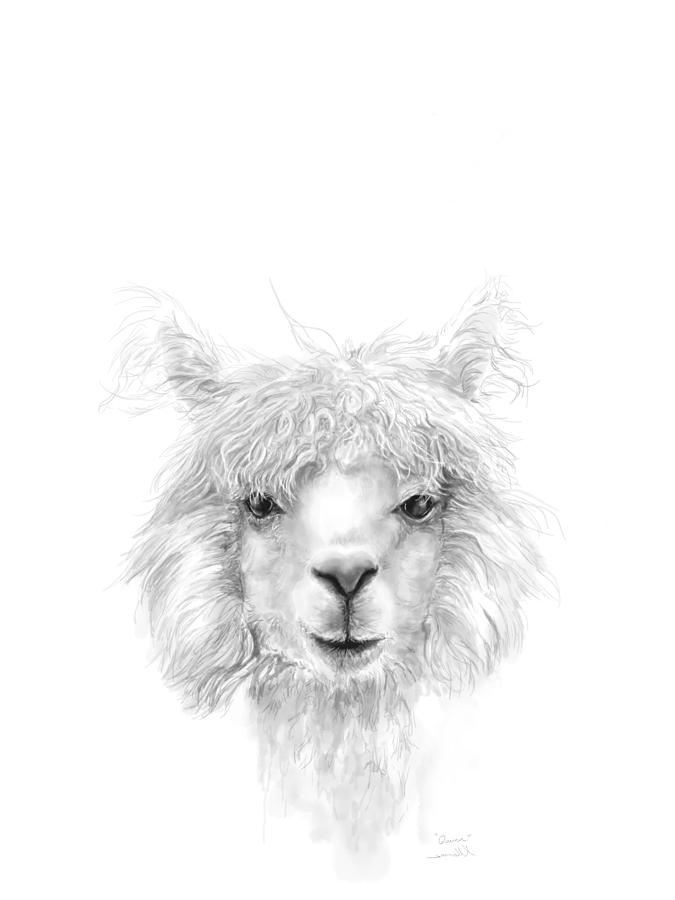 Llama Drawing - Quinn by Kristin Llamas