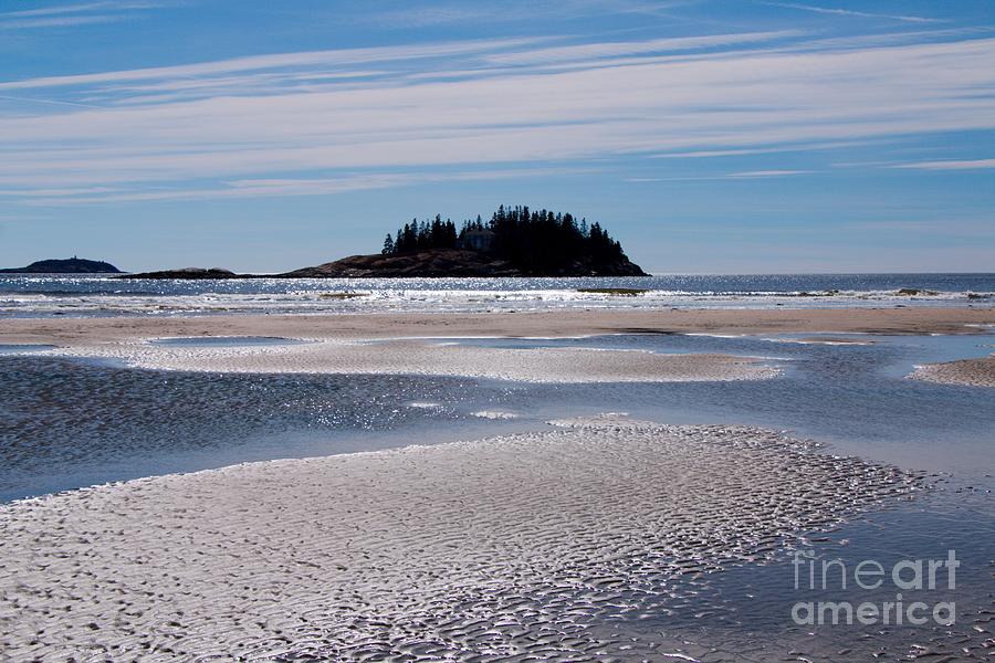 Quintessential Maine Coast Photograph by Elizabeth Dow