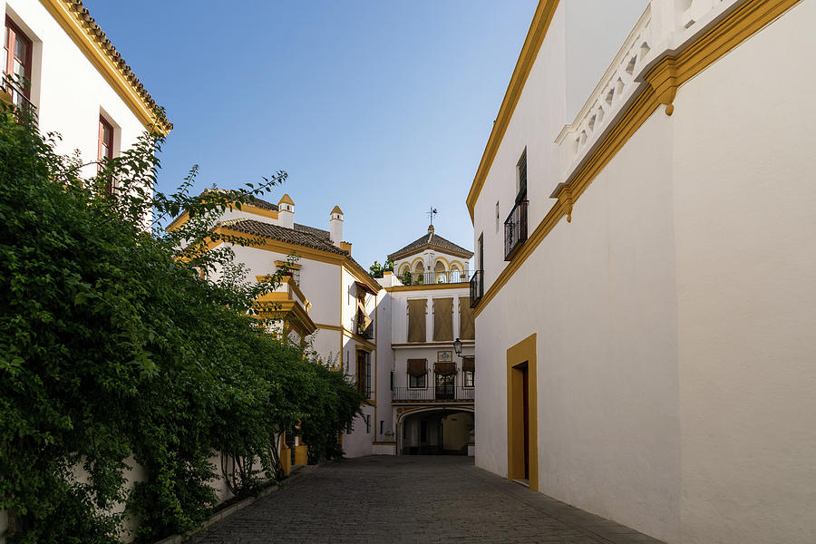 Quintessential Spain - Andalusian Architecture in White and Yellow Photograph by Georgia Mizuleva