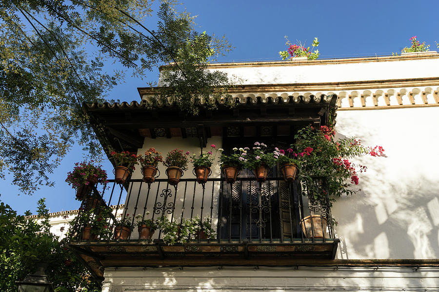 Quintessential Spain - the Flowering Balcony Photograph by Georgia Mizuleva