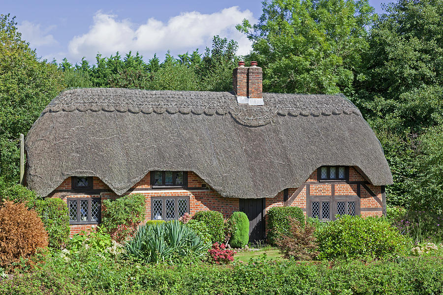 Quintessentially English cottage in New Forest Photograph by Anita Van ...