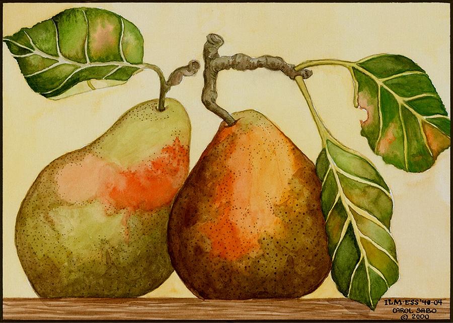 Pear Painting - Quite A Pair by Carol Sabo