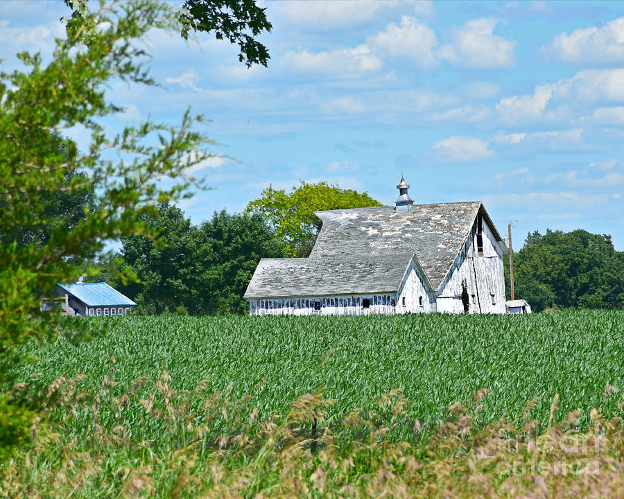 Quite Country Living Photograph by Kathy M Krause