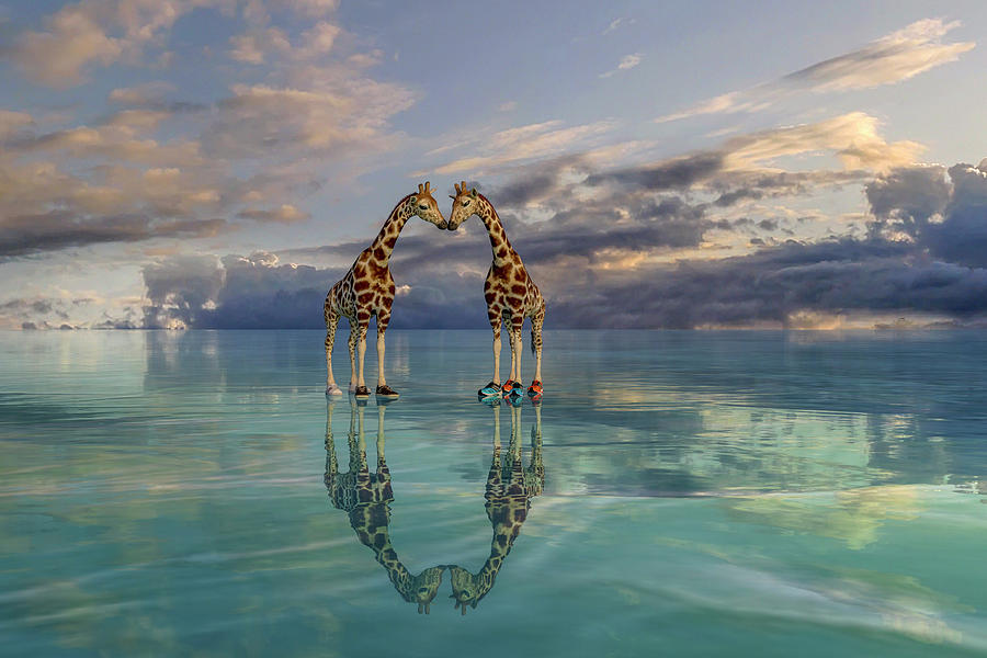 Giraffe Digital Art - Quite the Pair by Betsy Knapp