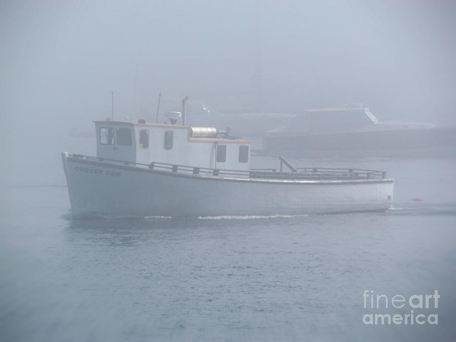 Quoddy Dam Ferry Boat Photograph by Elizabeth Dow