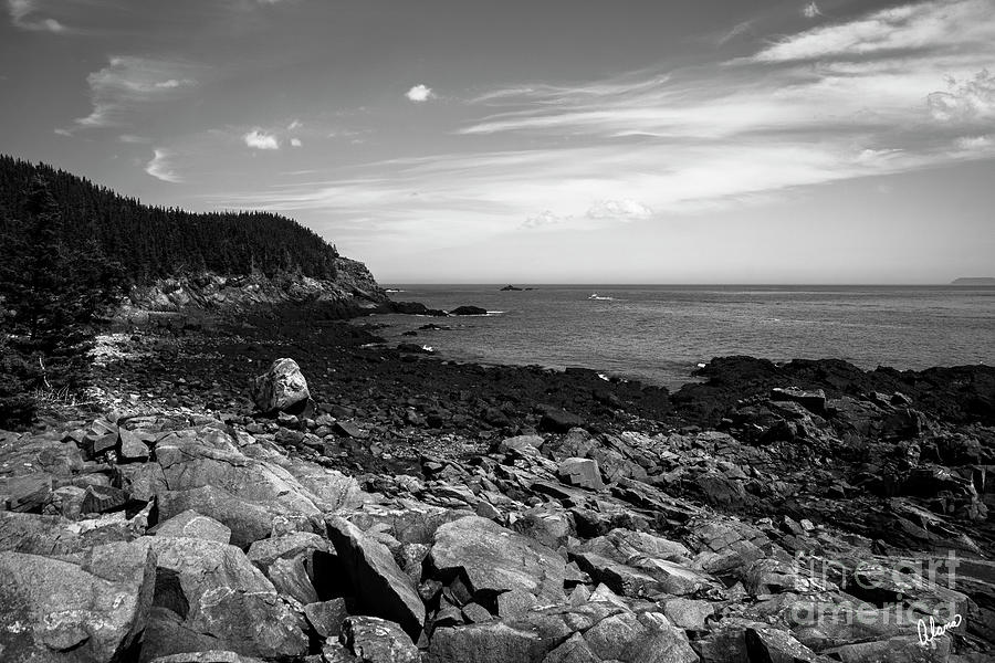 Quoddy Head State Park Photograph
