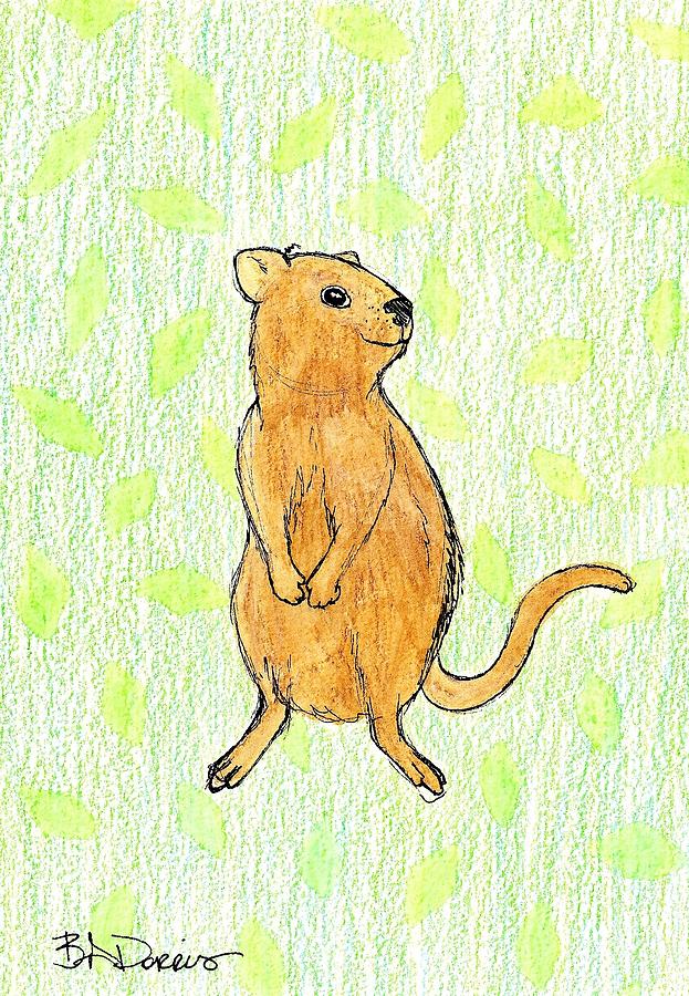 Quokka by Brittany Dorris Quokka by Brittany Dorris