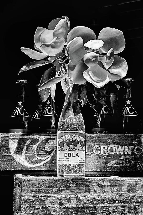 R C Cola and Magnolia Still Life in Black and White Photograph by JC Findley