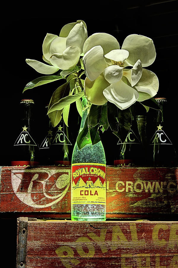 R C Cola and Magnolia Still Life Photograph by JC Findley