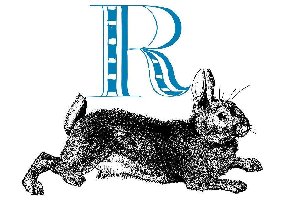 Nature Digital Art - R Rabbit by Thomas Paul