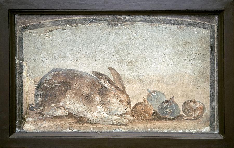 Rabbit And Figs, Roman Fresco Photograph