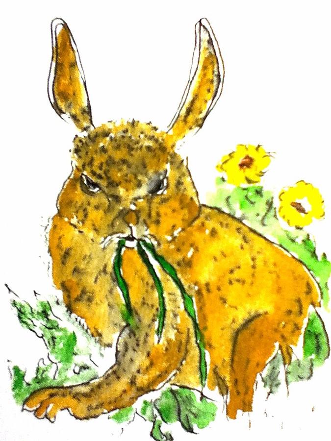 Rabbit and grass Drawing by Dan Cohn-Sherbok - Fine Art America