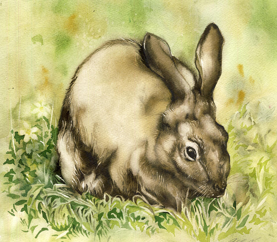 Rabbit In Spring Time Painting by Alfred Ng