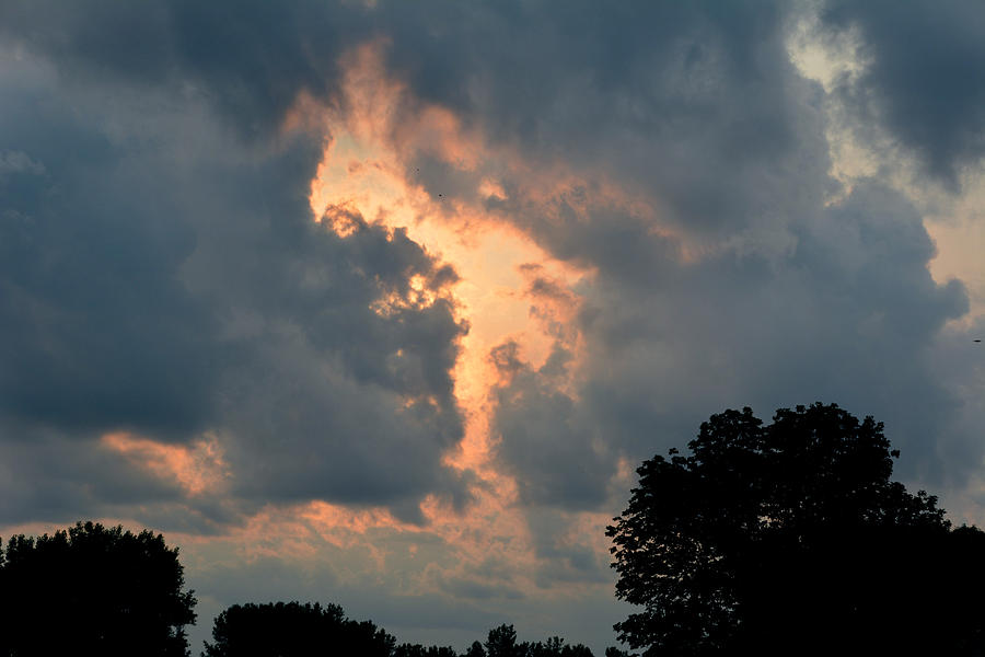 Rabbit in the Sky Photograph by Martin Massari - Fine Art America