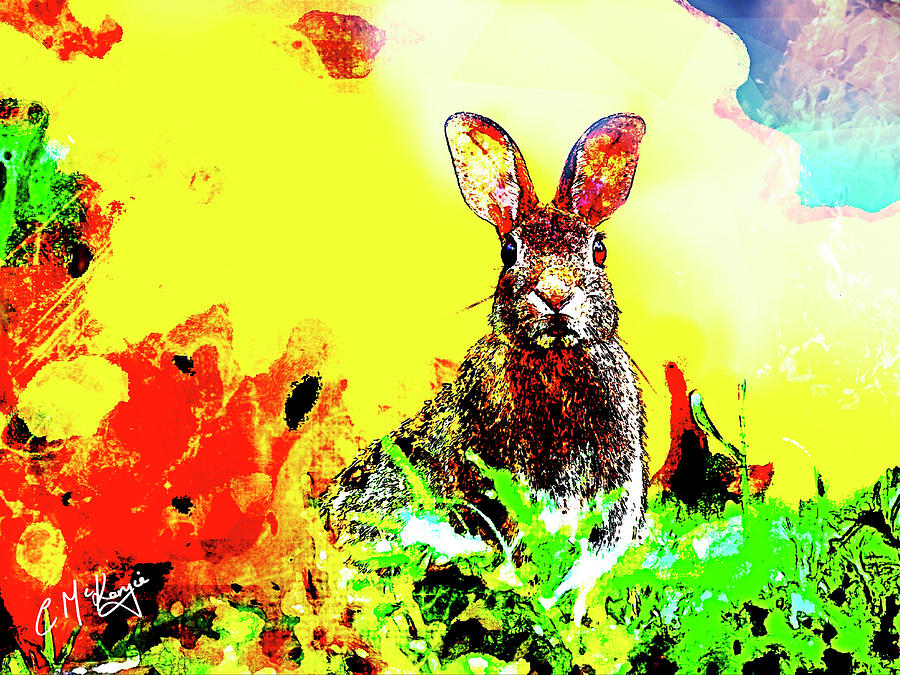 Rabbit Pop Digital Art by Carol McKenzie - Fine Art America