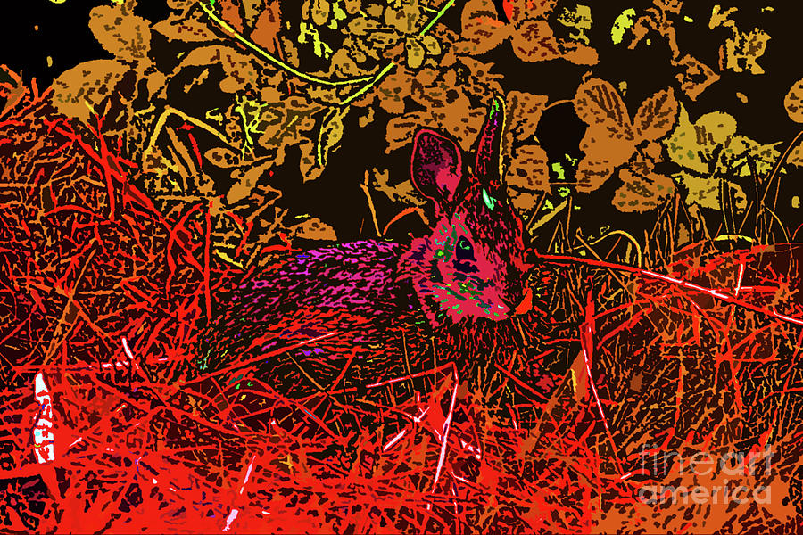 Rabbit Red Digital Art - Rabbit red by Chris Taggart