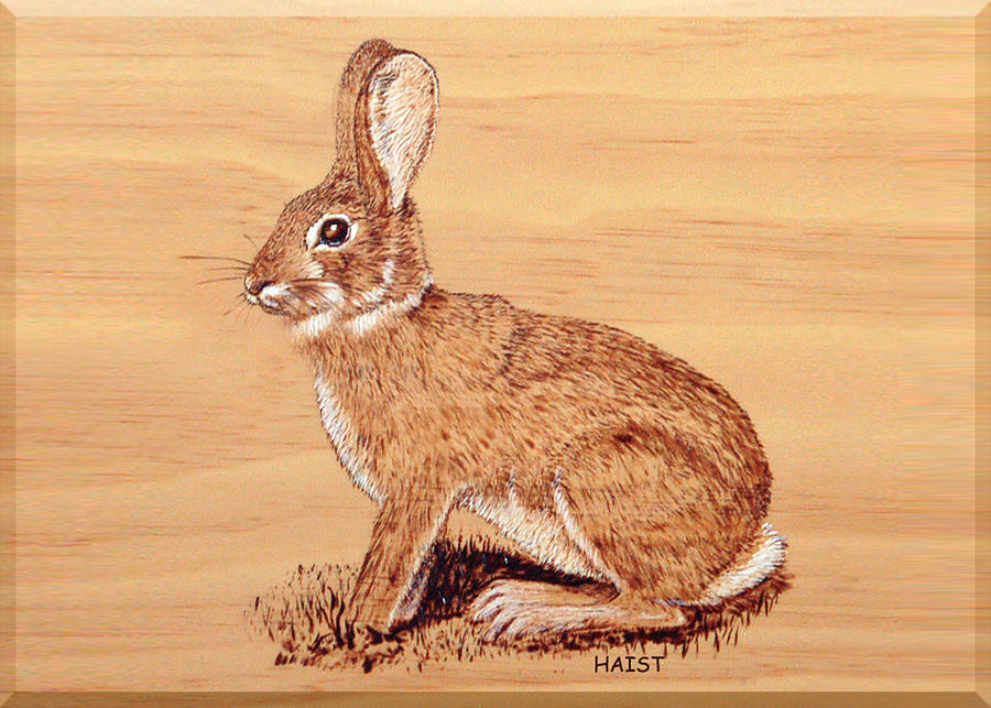 Rabbit Pyrography by Ron Haist