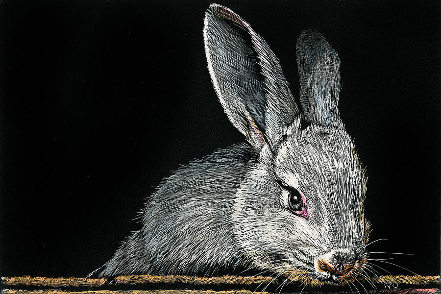 Rabbit by William Underwood Rabbit by William Underwood