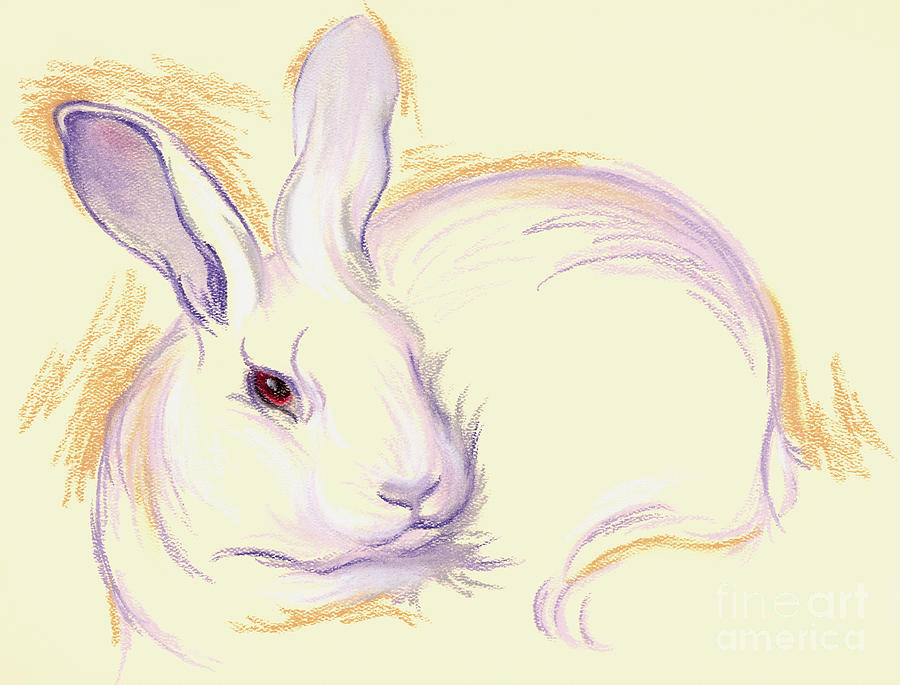 Rabbit with a Red Eye Pastel by MM Anderson