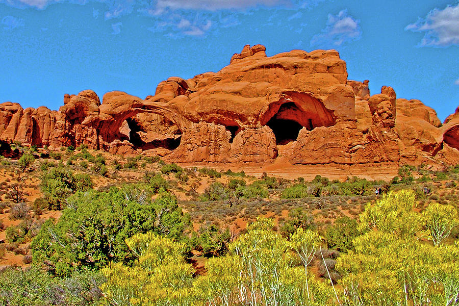 Rabbitbrush in Front of Double Arch in Arches National Park, Utah   Photograph by Ruth Hager