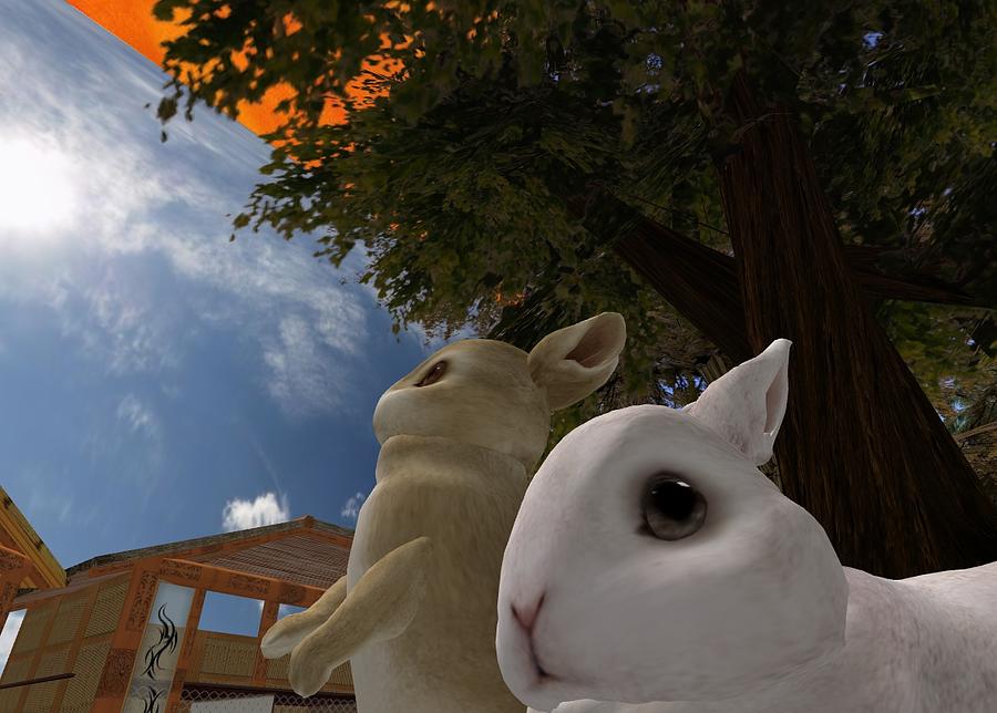 Fantasy Digital Art - Rabbits by Thomas Smith
