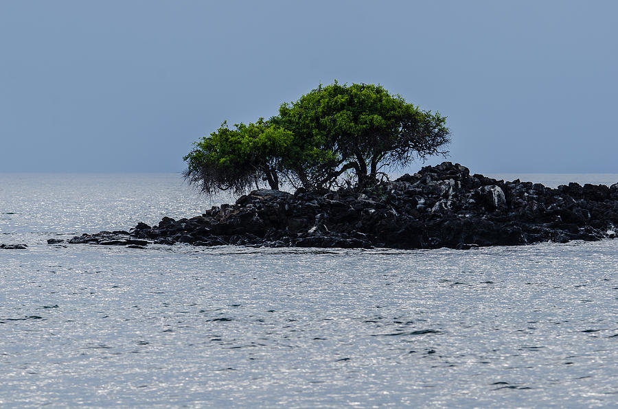 Rabida Off-Shore Island  Photograph by Harry Strharsky