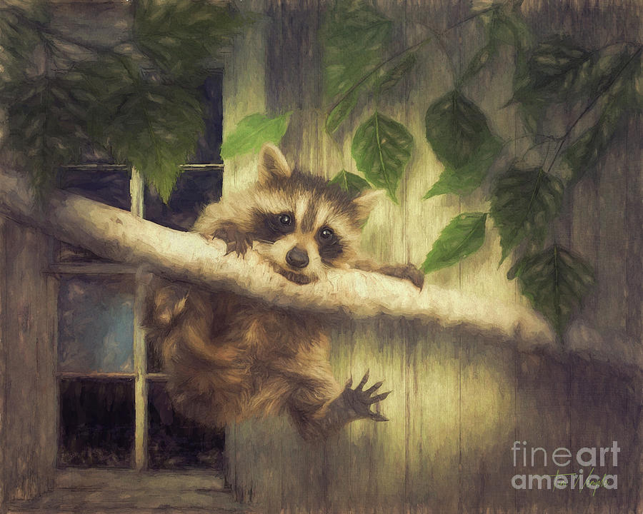 Raccoon Hangin Around Digital Art by Tim Wemple