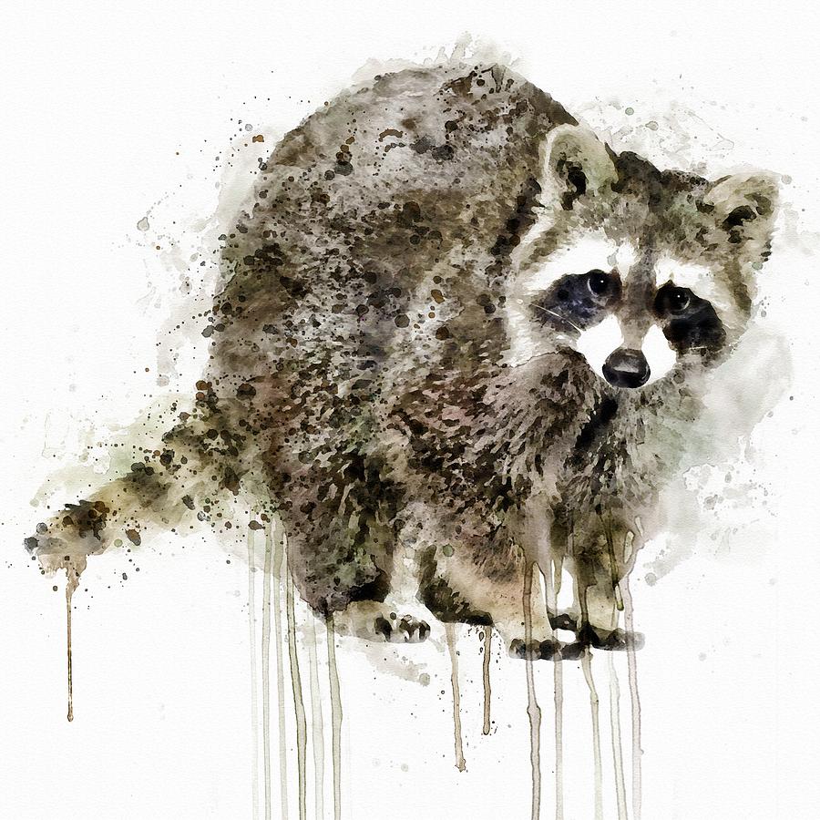Wildlife Painting - Raccoon by Marian Voicu