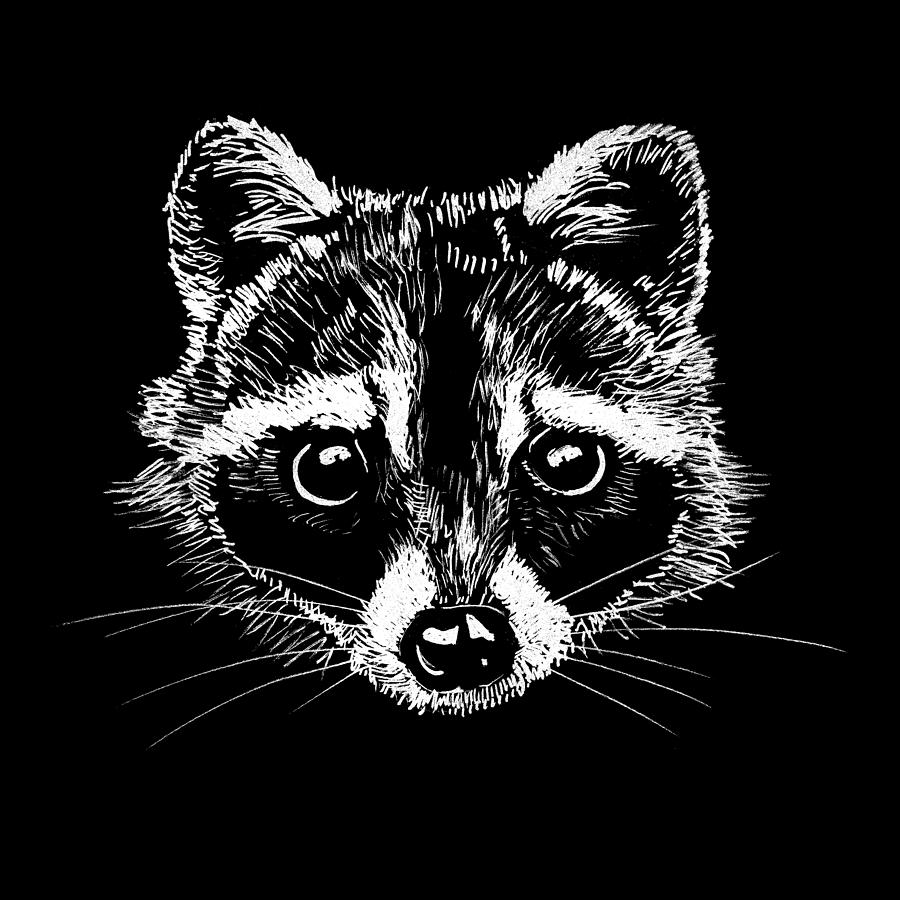 Raccoon Drawing by Masha Batkova