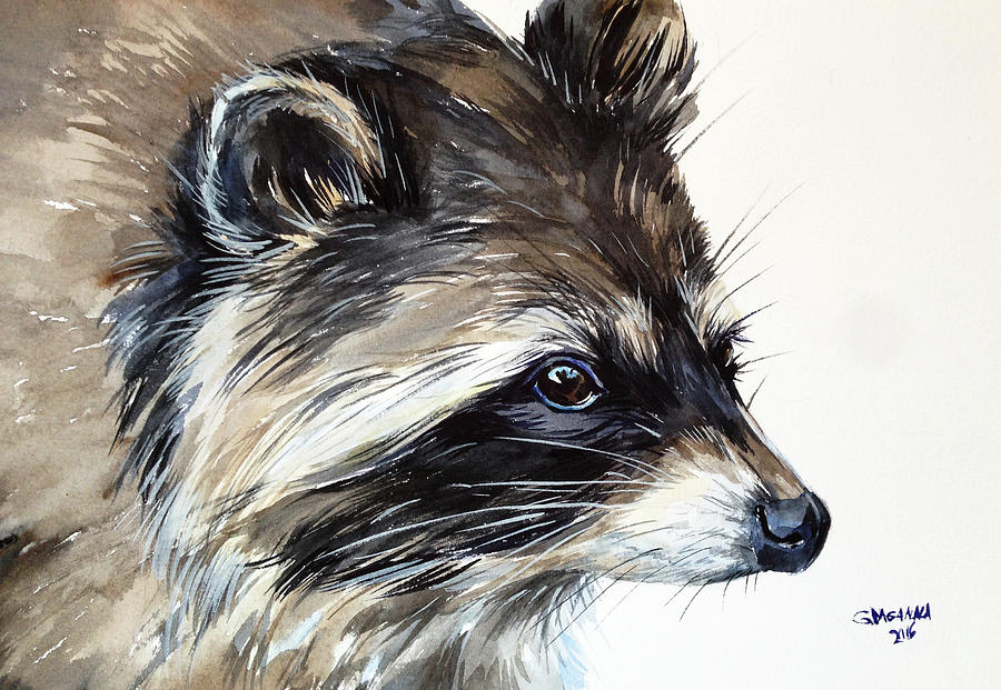 Raccoon Portrait Painting By Ganna Melnychenko Fine Art America