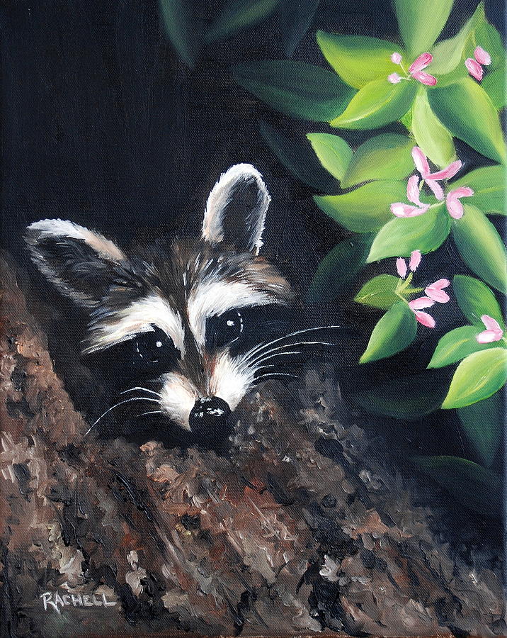 Raccoon Painting by Rachel Lawson