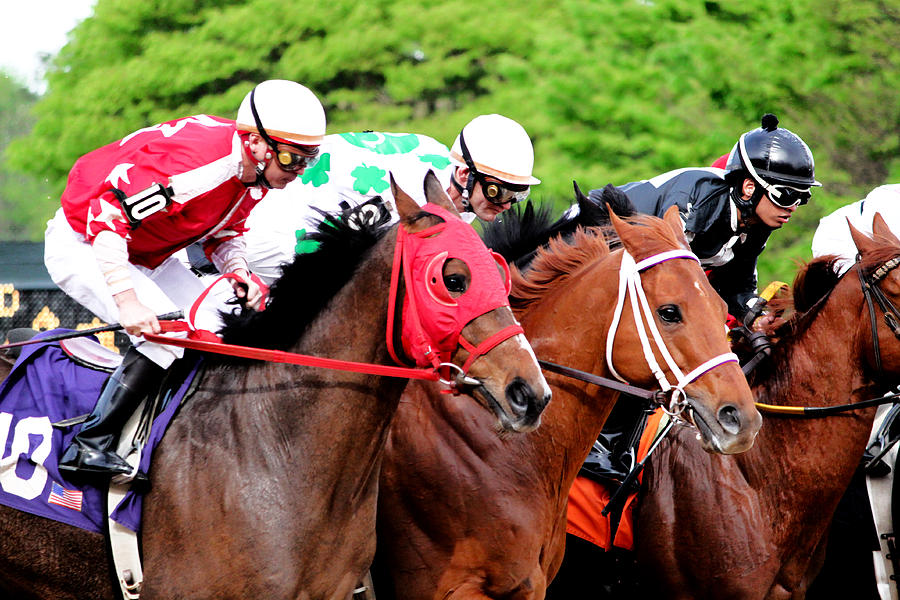 Horse Photograph - Race Day by Nathan Grisham