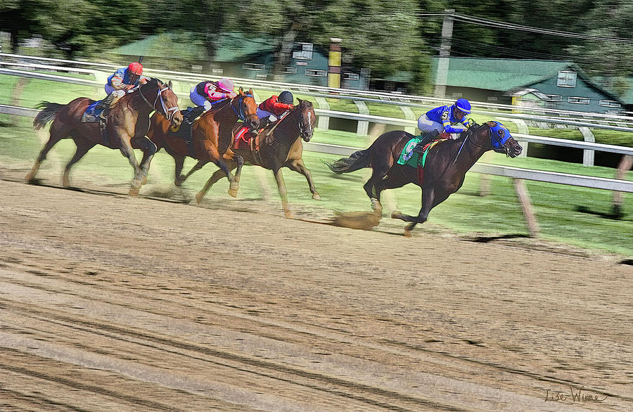 Race Horses In Motion Digital Art by Lise Winne