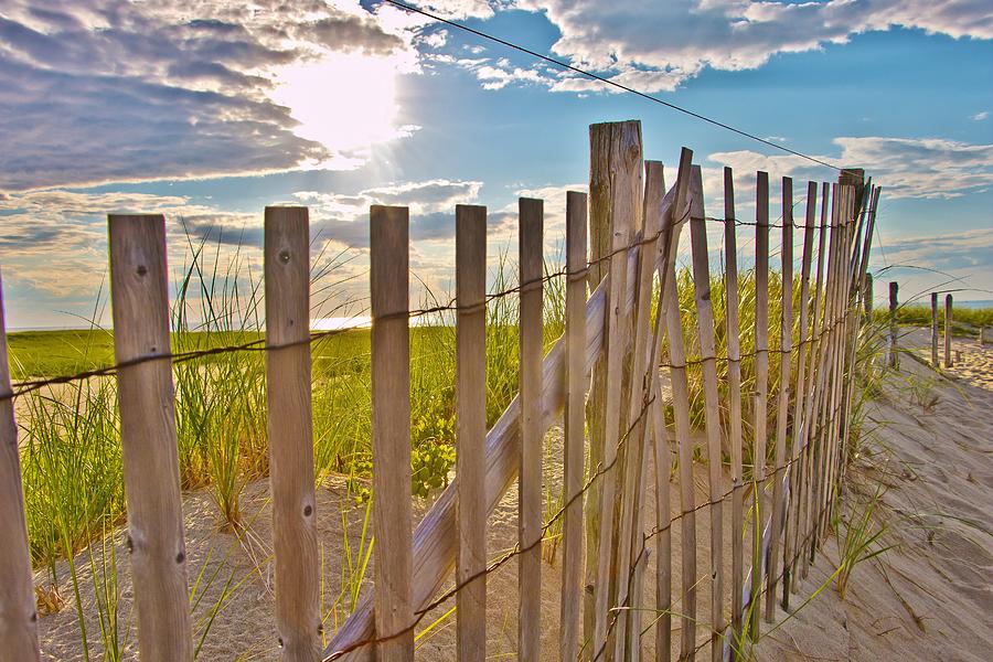 Race Point Beach Fence Photograph by Marisa Geraghty Photography