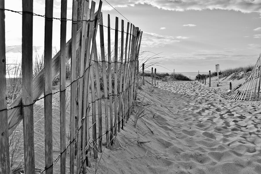 Race Point Beach Path Photograph by Marisa Geraghty Photography