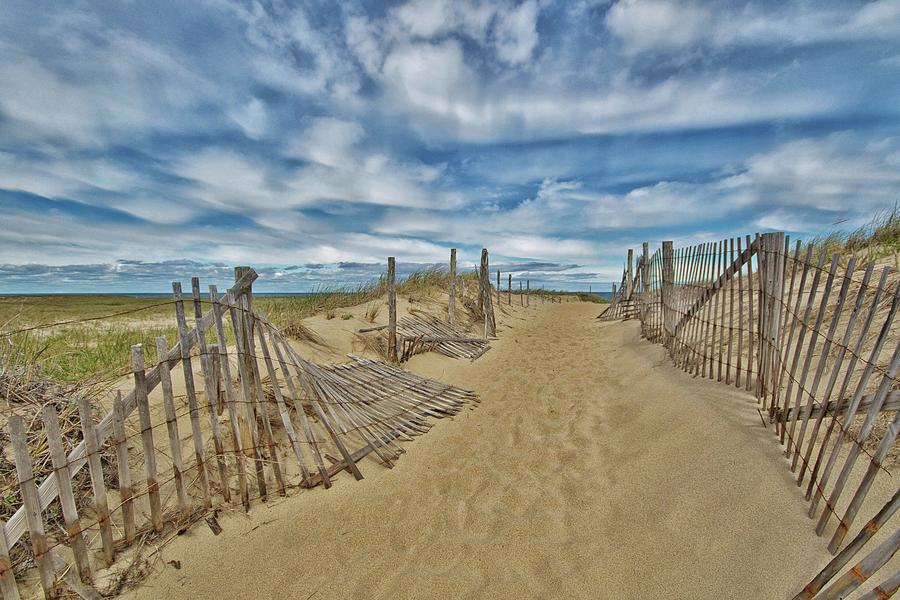 Race Point Entrance Photograph by Marisa Geraghty Photography - Fine ...