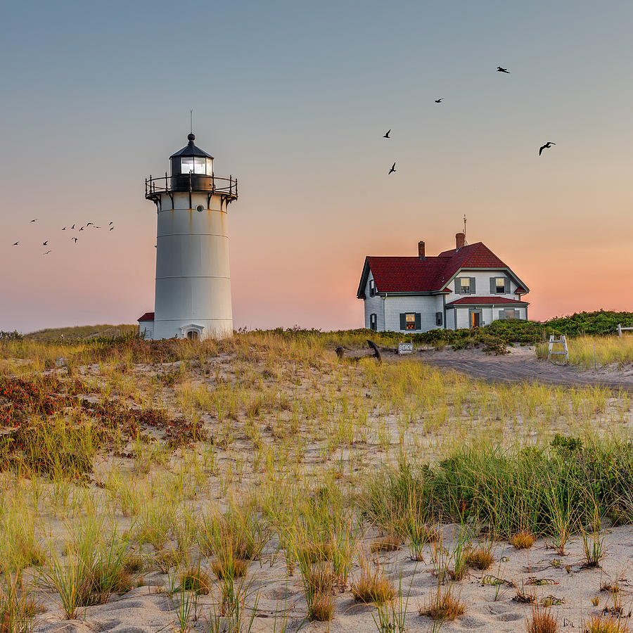 Race Point Light Cape Cod Square Photograph by Bill Wakeley