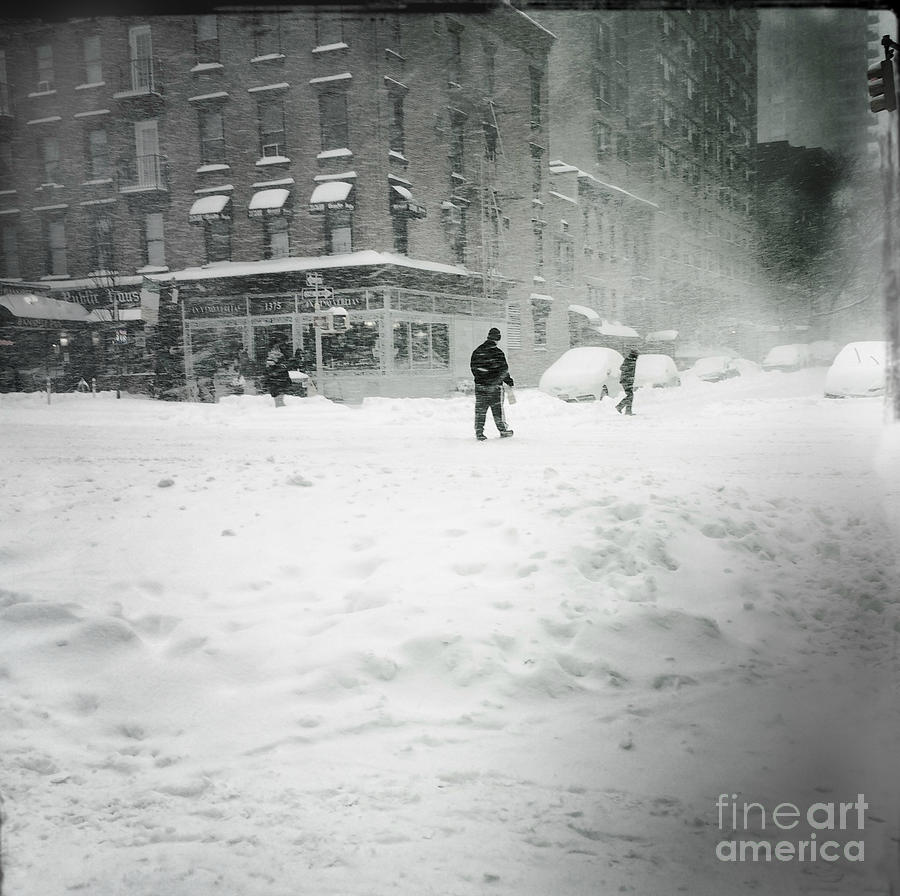 Race to the Pole - Winter in New York Photograph by Miriam Danar