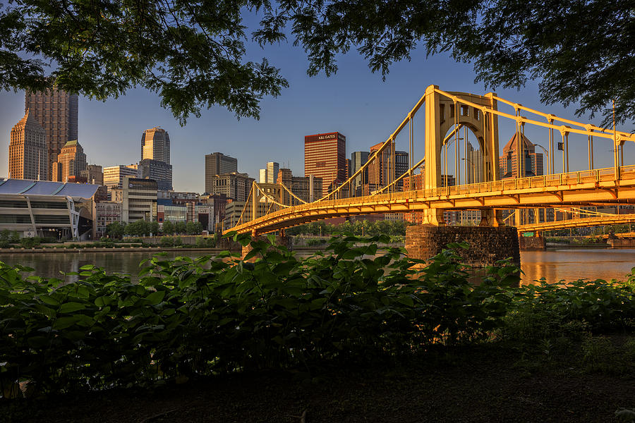 Pittsburgh Photograph - Rachel Carson Bridge by Rick Berk