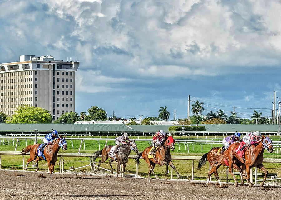 Racing  Photograph by Mike Dunn